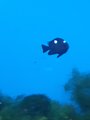../thumbnails/035-20230804_133959.jpg.small.jpeg