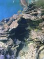 ../thumbnails/040-20230804_134301.jpg.small.jpeg