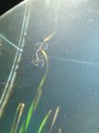 ../thumbnails/043-20230804_134526.jpg.small.jpeg