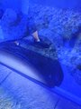 ../thumbnails/045-20230804_134858.jpg.small.jpeg