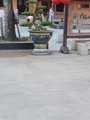 ../thumbnails/067-20230807_174942.jpg.small.jpeg