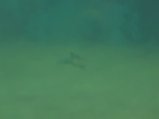 ../thumbnails/076-20230804_132126.jpg.small.jpeg