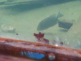 ../thumbnails/078-20230804_132304.jpg.small.jpeg