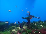 ../thumbnails/107-20230804_133531.jpg.small.jpeg