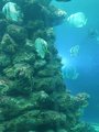../thumbnails/113-20230804_134048.jpg.small.jpeg