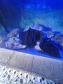 ../thumbnails/119-20230804_134842.jpg.small.jpeg