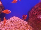 ../thumbnails/125-20230804_130844.jpg.small.jpeg