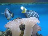../thumbnails/130-20230804_131022.jpg.small.jpeg