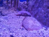 ../thumbnails/136-20230804_131239.jpg.small.jpeg