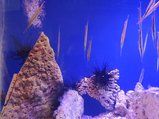 ../thumbnails/137-20230804_131251.jpg.small.jpeg