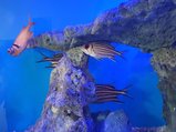 ../thumbnails/138-20230804_131302.jpg.small.jpeg