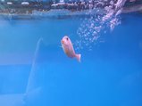 ../thumbnails/142-20230804_131357.jpg.small.jpeg