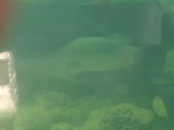 ../thumbnails/144-20230804_131822.jpg.small.jpeg
