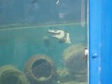../thumbnails/146-20230804_131941.jpg.small.jpeg