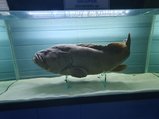 ../thumbnails/152-20230804_132537.jpg.small.jpeg
