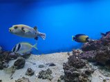 ../thumbnails/154-20230804_132603.jpg.small.jpeg