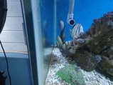 ../thumbnails/156-20230804_132815.jpg.small.jpeg