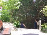 ../thumbnails/170-20230804_113407.jpg.small.jpeg