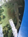 ../thumbnails/180-20230804_124331.jpg.small.jpeg