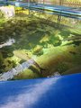 ../thumbnails/181-20230804_124354.jpg.small.jpeg