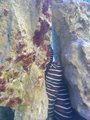 ../thumbnails/182-20230804_125854.jpg.small.jpeg