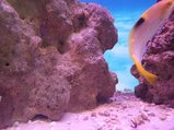 ../thumbnails/184-20230804_130116.jpg.small.jpeg