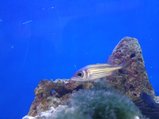 ../thumbnails/189-20230804_130416.jpg.small.jpeg
