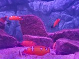../thumbnails/190-20230804_130447.jpg.small.jpeg