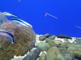 ../thumbnails/193-20230804_130645.jpg.small.jpeg