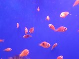 ../thumbnails/194-20230804_130653.jpg.small.jpeg
