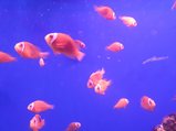 ../thumbnails/195-20230804_130656.jpg.small.jpeg