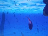 ../thumbnails/196-20230804_130721.jpg.small.jpeg