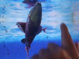 ../thumbnails/197-20230804_130726.jpg.small.jpeg