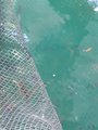 ../thumbnails/214-20230803_105423.jpg.small.jpeg