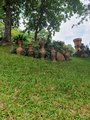 ../thumbnails/228-20230804_095528.jpg.small.jpeg