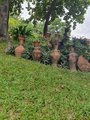 ../thumbnails/229-20230804_095542.jpg.small.jpeg