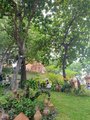../thumbnails/230-20230804_100831.jpg.small.jpeg