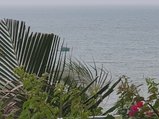 ../thumbnails/247-20230801_125031.jpg.small.jpeg