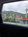 ../thumbnails/259-20230802_120251.jpg.small.jpeg