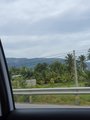 ../thumbnails/266-20230802_125350.jpg.small.jpeg