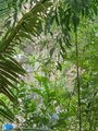 ../thumbnails/297-20230801_143613.jpg.small.jpeg