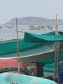 ../thumbnails/298-20230801_150553.jpg.small.jpeg