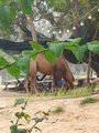 ../thumbnails/300-20230801_160144.jpg.small.jpeg