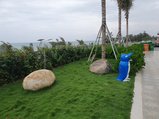 ../thumbnails/322-20230801_124956.jpg.small.jpeg
