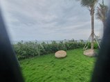 ../thumbnails/323-20230801_125008.jpg.small.jpeg
