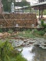 ../thumbnails/326-20230801_155950.jpg.small.jpeg