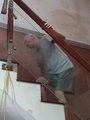 ../thumbnails/337-20230718_072710.jpg.small.jpeg