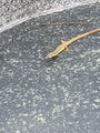 ../thumbnails/351-20230717_122803.jpg.small.jpeg