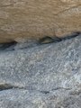 ../thumbnails/372-20230713_102340.jpg.small.jpeg