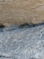 ../thumbnails/373-20230713_102349.jpg.small.jpeg